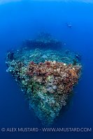 Mid-Water Wreck. Palau