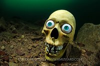 Halloween Underwater. UK