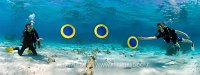 Underwater Frisbee. Cayman Islands