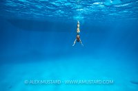 Girl Diving Beneath Surface, Egypt