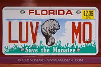 Manatee licence plate.