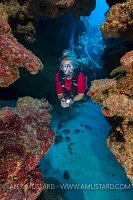 Diver At Snapper Hole. Cayman Islands