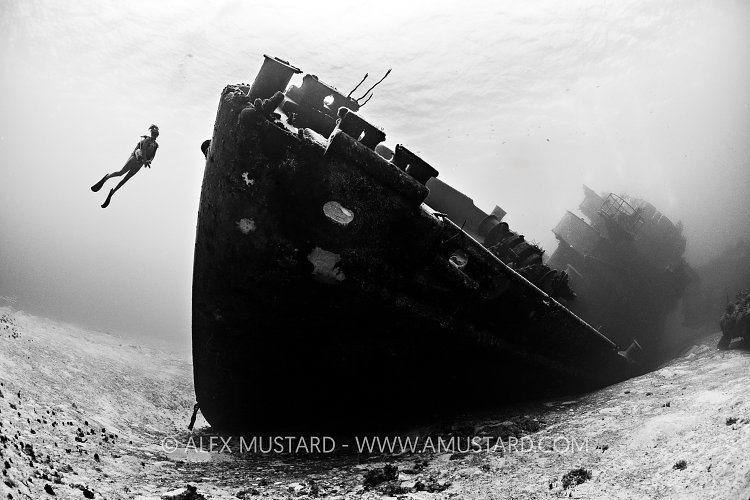 Kittiwake Bow, Cayman Islands