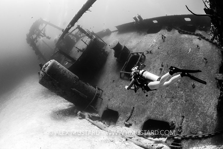 Kittiwake Diver, Cayman Islands