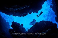 Diver In Coral Canyon, Cayman Islands