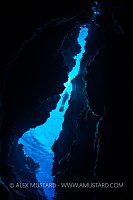 Diver In Coral Canyon, Cayman Islands