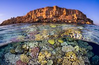 Coral Reef With Desert Cliffs, Egypt