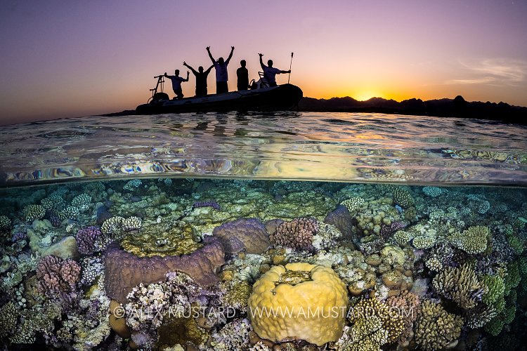 Happy Divers, Egypt