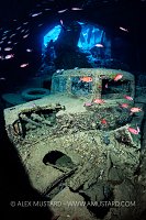 Fordson WOt3 Truck, Thistlegorm, Egypt