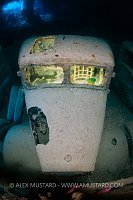 Fordson With Wrasse, Thistlegorm, Egypt