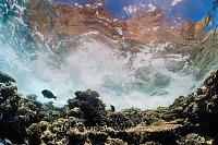 Shallow Reef WIth Surf And Cliffs, Egypt