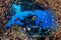 Diver And Glassfish. Egypt