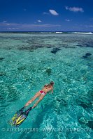 Snorkeller. Cayman Islands