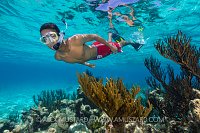 Snorkeller On Reef. Cayman Islands