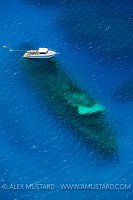 Kittiwake Wreck Aerial. Cayman Islands
