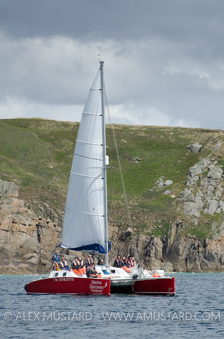 Ecotourism Cruise. Cornwall, UK.