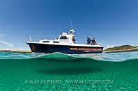Ecotourism Cruise. Scotland, UK.