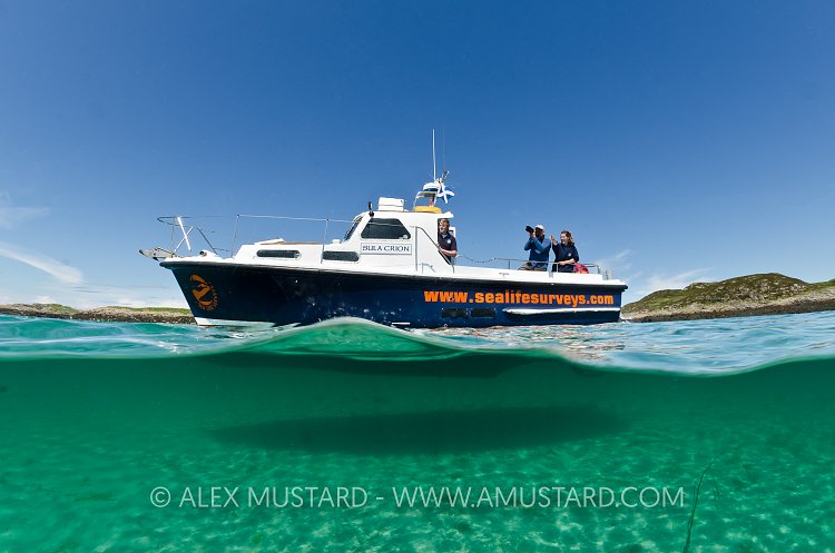 Ecotourism Cruise. Scotland, UK.