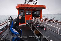 Reality Check! Dorset, UK