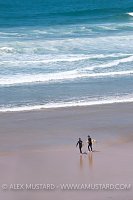 Surfers Head To Sea. Cornwall, UK
