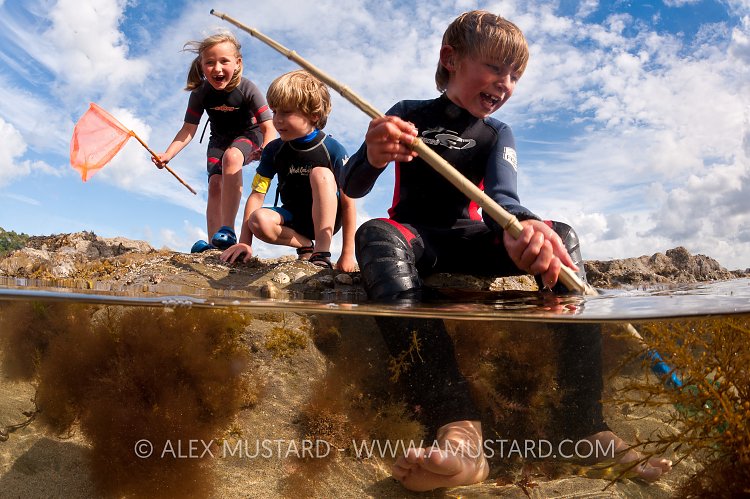 Rockpooling. Cornwall, UK.