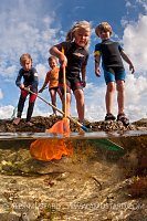 Rockpooling. Cornwall, UK.