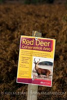 Red Deer Sign. New Forest, Hampshire.