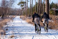 Cyclists In The Snow. New Forest, UK.