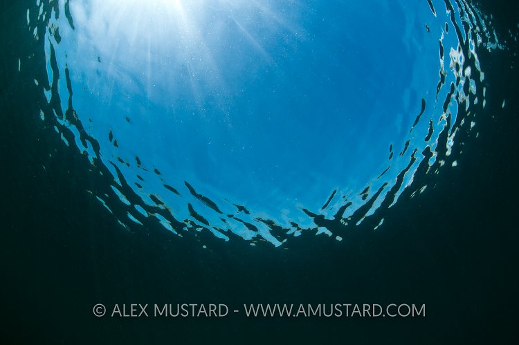 Sea Surface. Cornwall, UK.