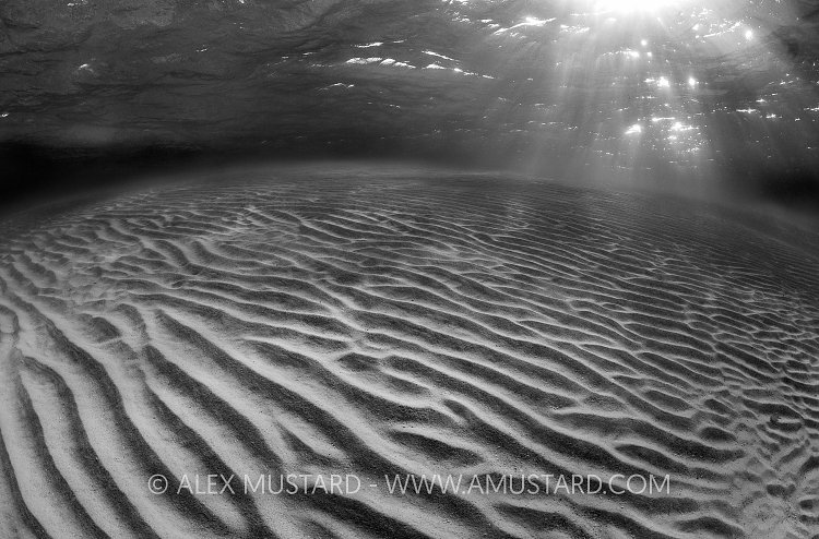 Sun And Sand - Underwater. Cayman Islands.