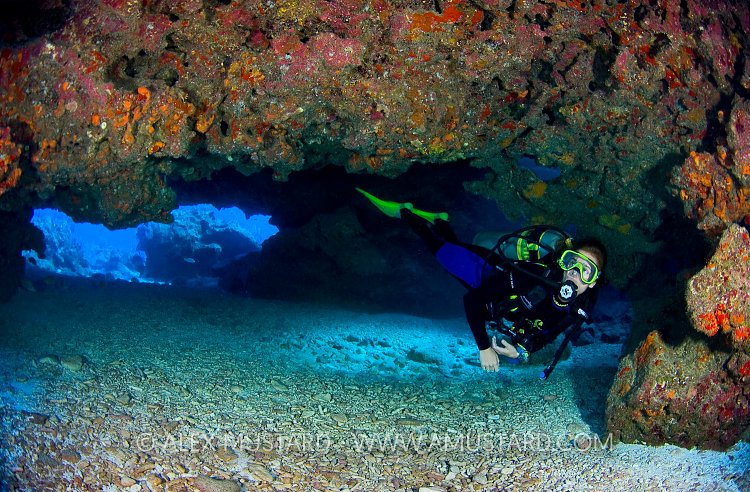 Diver In Coral Cavern. Cayman Islands.