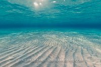 Sand Ripples and Sun. Cayman Islands.