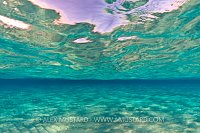 Sand, Surface, Sky. Cayman Islands