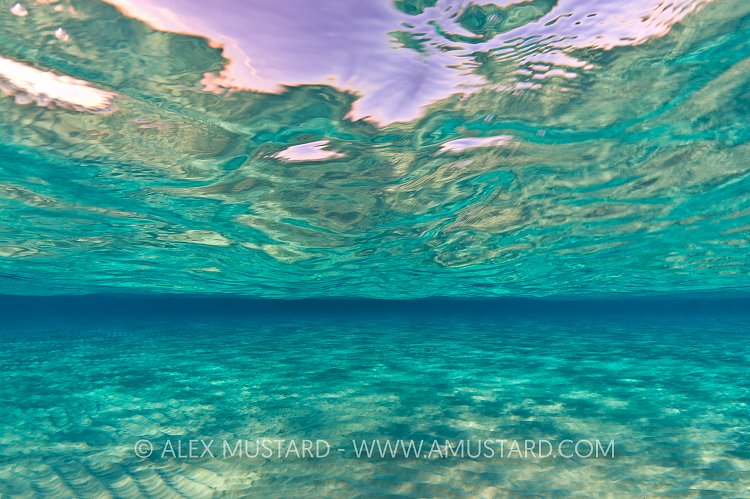 Sand, Surface, Sky. Cayman Islands