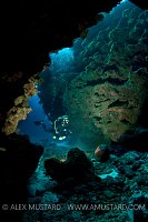 Diver in cave. Cayman Islands
