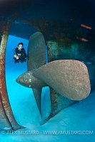 Diver and Kittiwake Prop. Cayman Islands