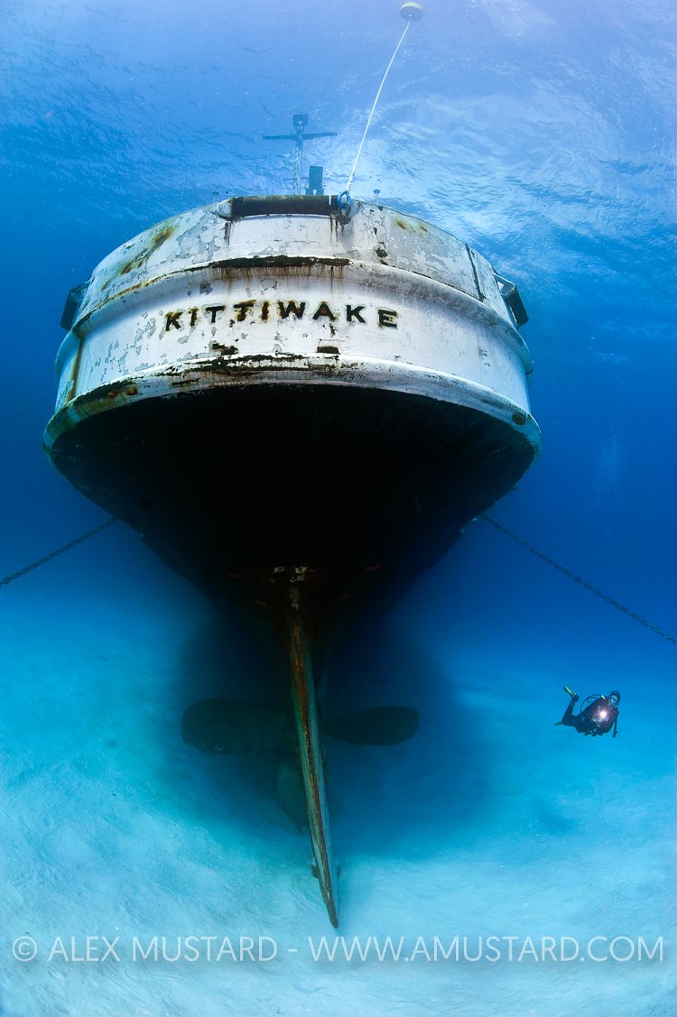 Kittiwake stern. Cayman Islands