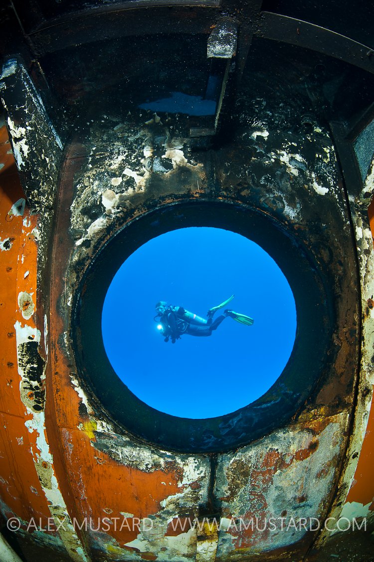 Diver in porthole of Kittiwake wreck. Cayman Islands.