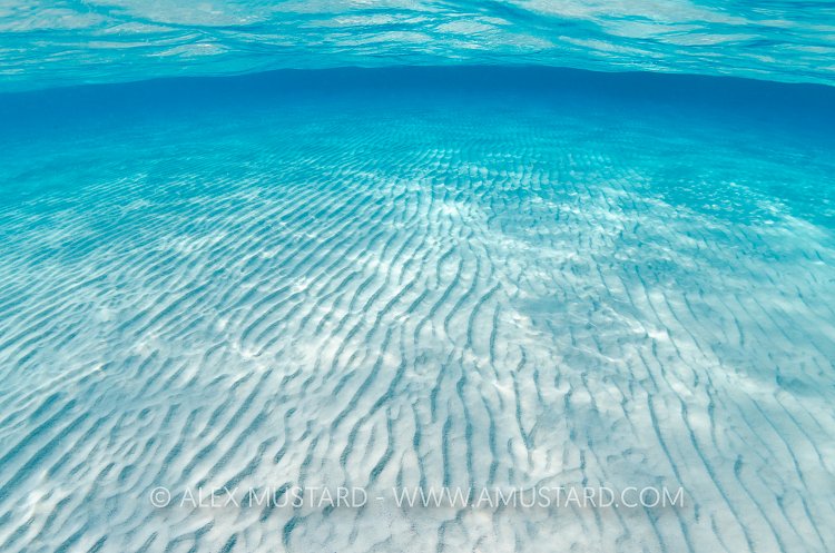 Sand Ripples. Cayman Islands.