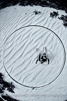 Bubble Rings. Cayman Islands.