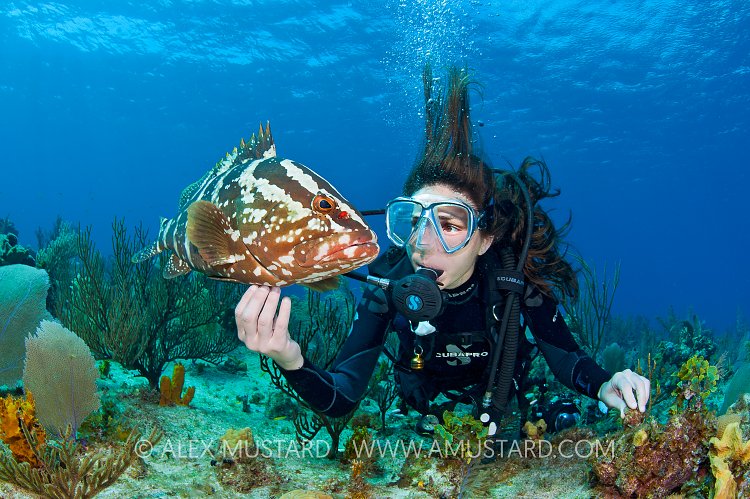 Nassau grouper and diver. Little Cayman.
