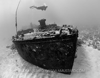 Soto Trader Wreck, Little Cayman.