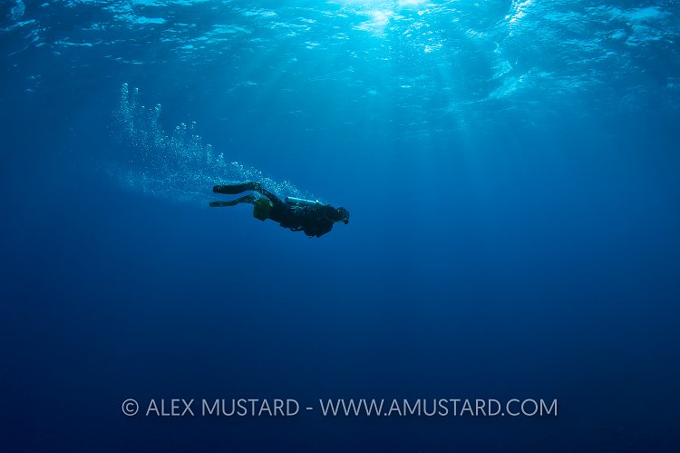 Diver On Scooter. Cayman Islands.