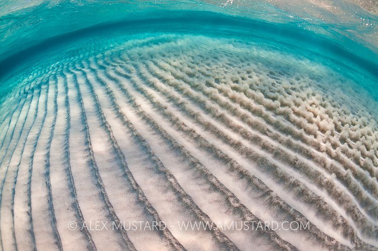 Sand Ripples Advancing. Cayman Islands.