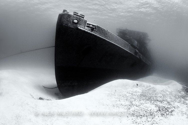 Kittiwake Bow. Cayman Islands.