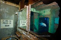 Black Jack In Mirror. Cayman Islands.