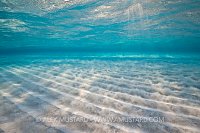 Sand Ripples Moving. Cayman Islands.