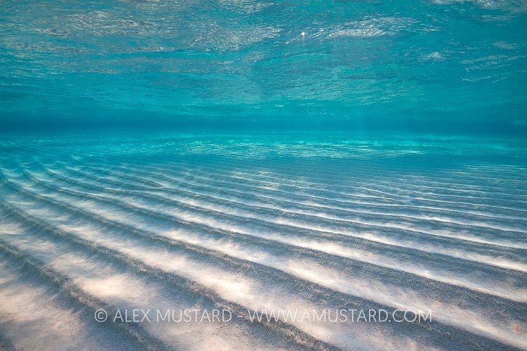 Shallow Sand Bar. Cayman Islands.