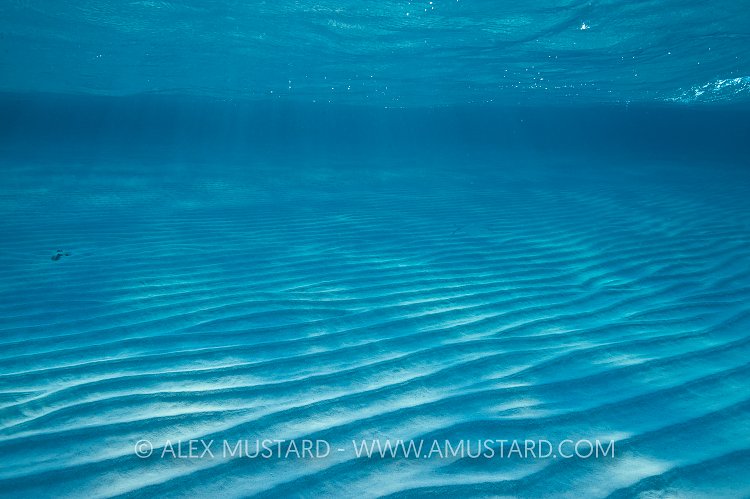 Ripples. Cayman Islands