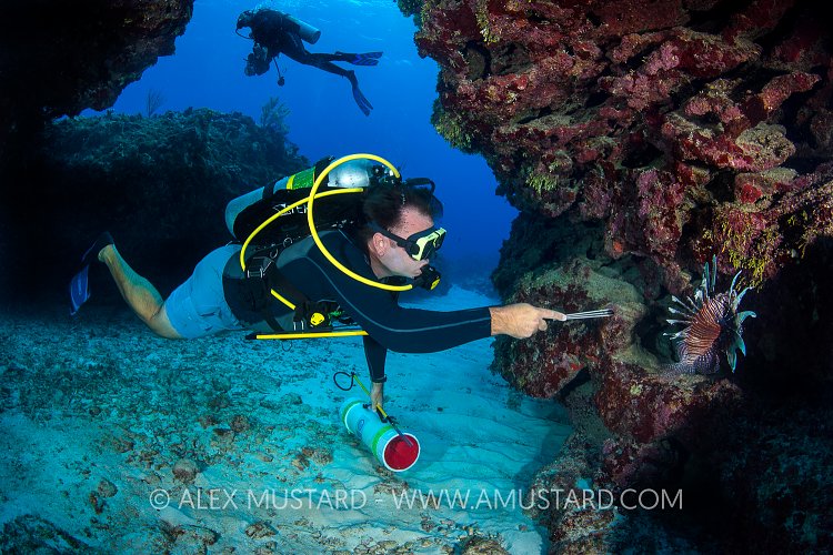 Lionfish Hunt. Cayman Islands.